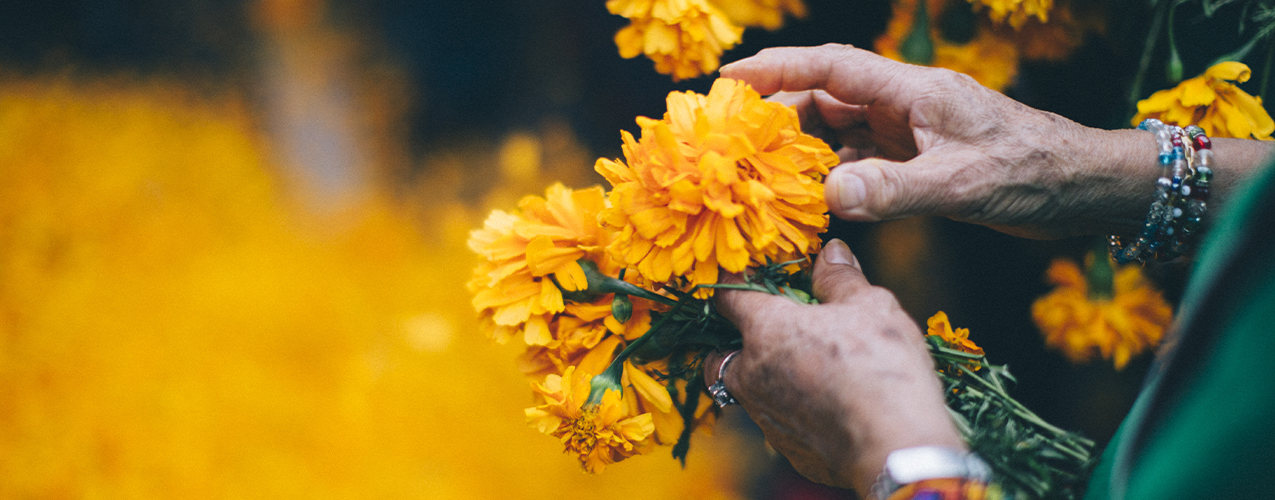 La flor de cempasúchil es un símbolo que no debe faltar en tu ofrenda
