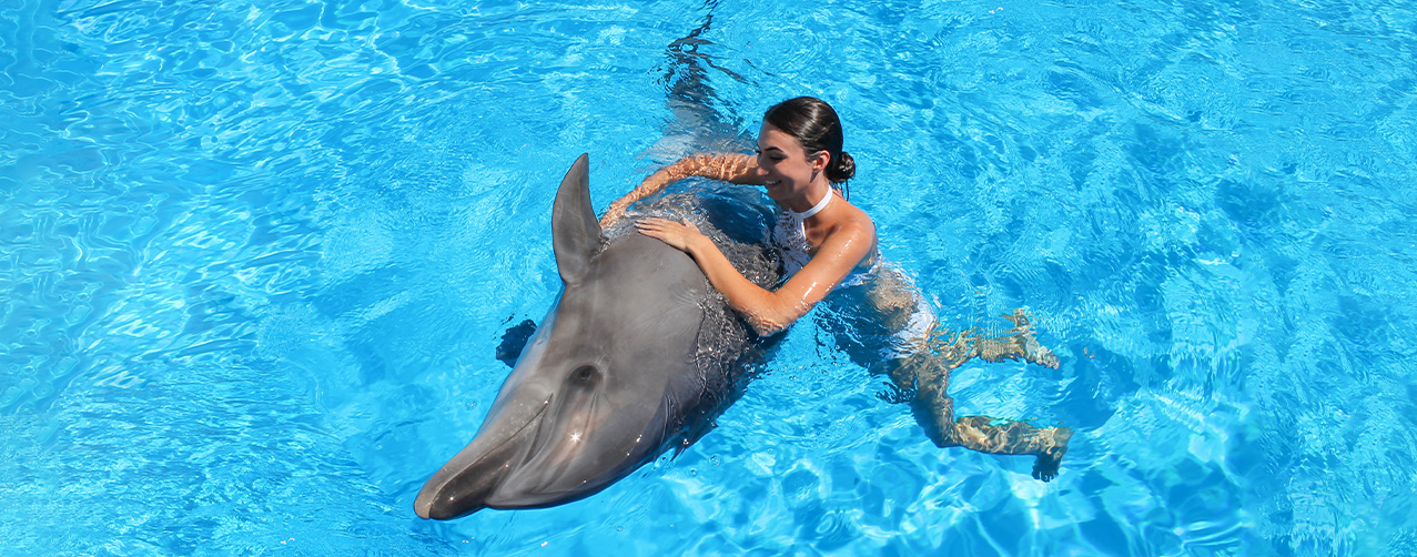 Destinos de ensueño para nadar con delfines y ballenas: Aventuras únicas con Melate Retro