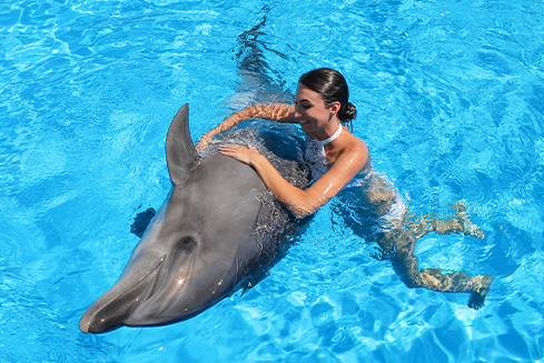 Nadar con delfines y ballenas - No le pierdas los mejores destinos.
