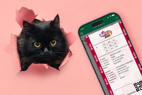 ¿Con cuántos aciertos gano Gana Gato? Guía completa